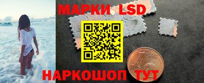 тгк Новодвинск