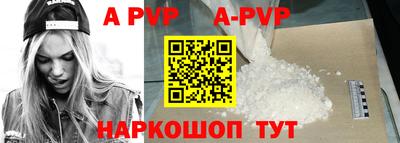 тгк Новодвинск