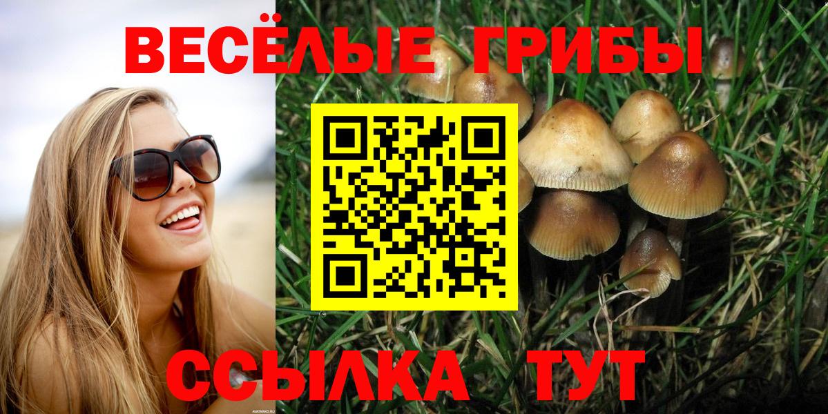 Псилоцибиновые грибы MAGIC MUSHROOMS Киржач