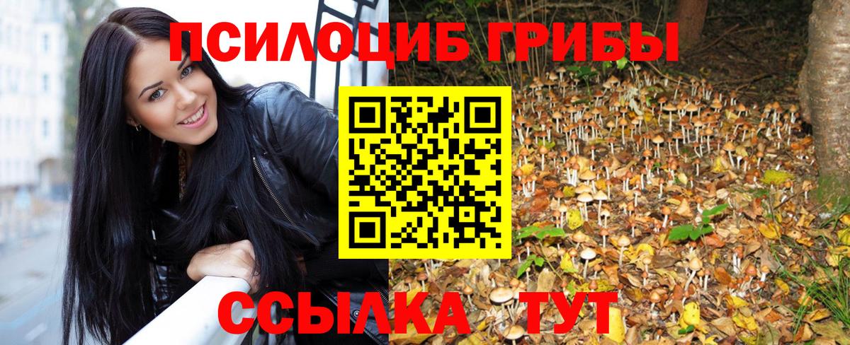 Киржач  Псилоцибиновые грибы мухоморы  Вход с VPN 